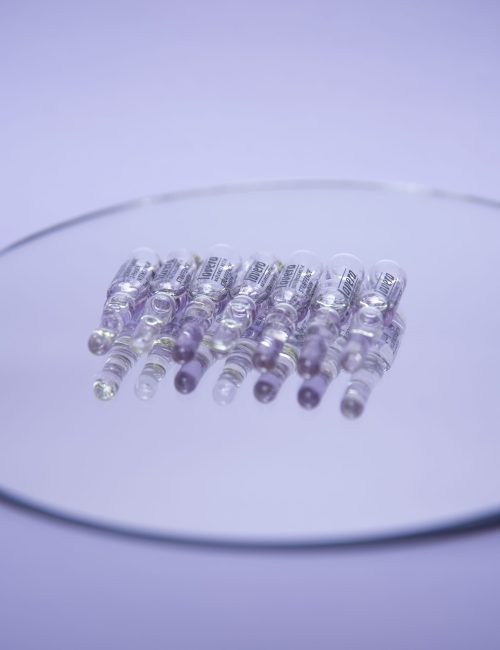 foto di Violante Passadore per MUSA