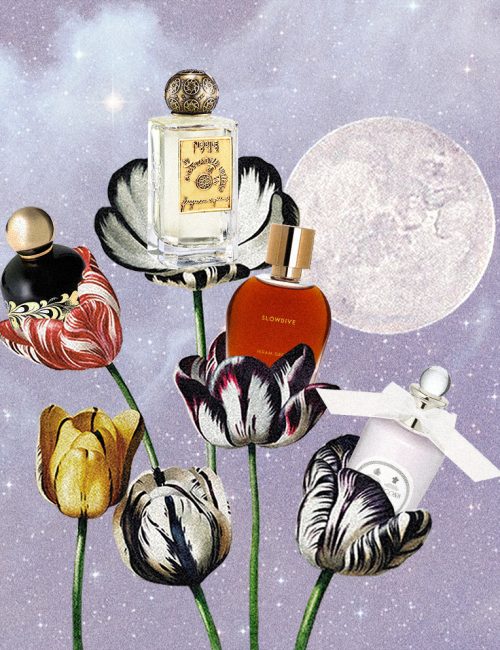 MUSA_profumi delle fate