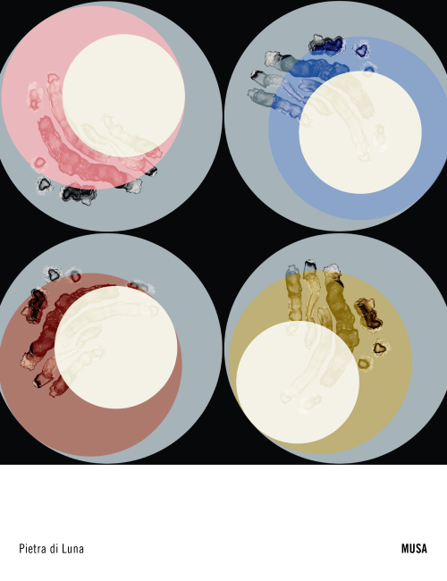 Illustrazione di Laura Savina