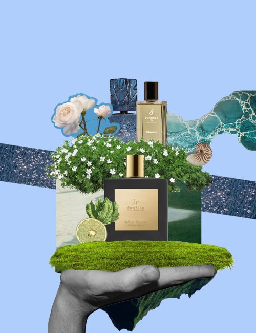 Profumi Estate_Elonora Cargnel