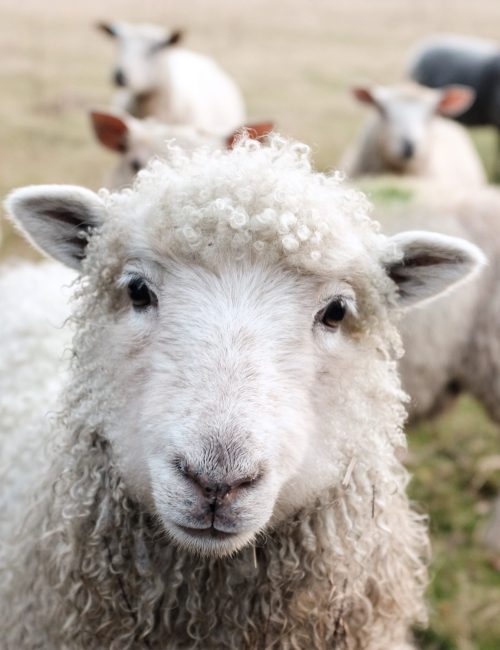 photo by Sam Carter on Unsplash