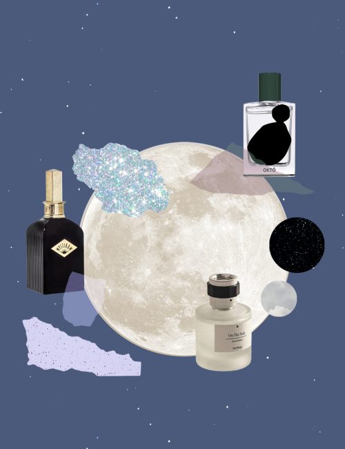 AGN284331 Grace reading at Howth Bay (oil on canvas) by Orpen, Sir William (1878-1931); 45.8x50.8 cm; Private Collection; (add.info.: the artist's wife, Grace Knewstub;); Photo © Agnew's, London; Irish,  out of copyright