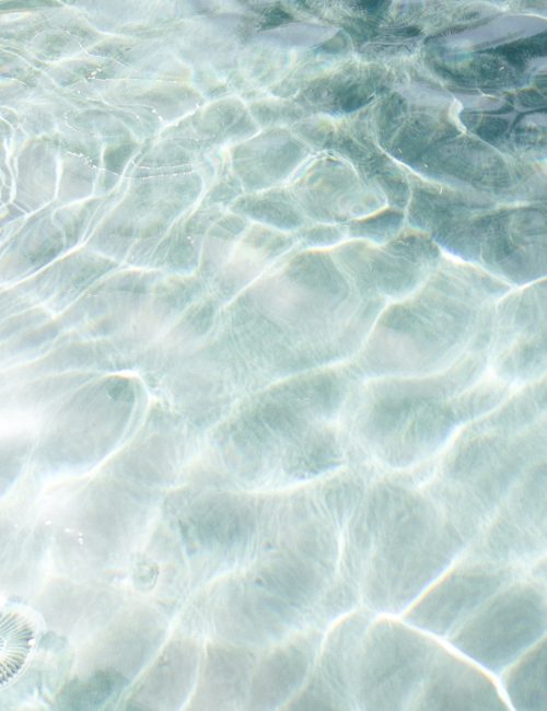 photo by Marissa Rodriguez on Unsplash