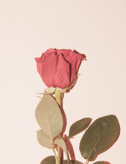 photo by Michael Walter on Unsplash