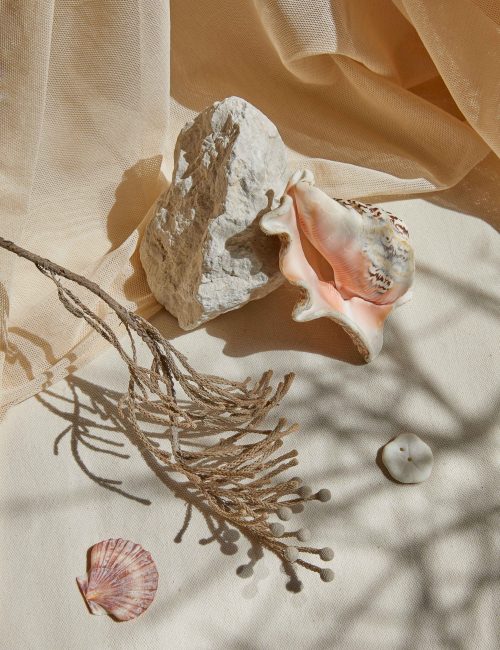 Foto di Claudia Zalla