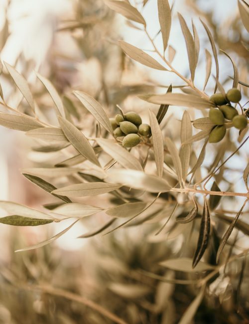 photo by Oana Craciun on Unsplash